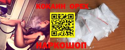 гашик Аргун