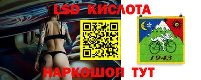 гашик Аргун
