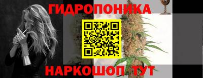 гашик Аргун