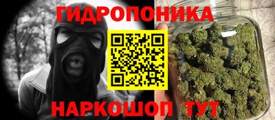 гашик Аргун