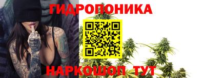 гашик Аргун