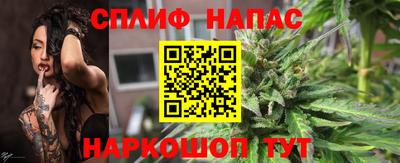 гашик Аргун