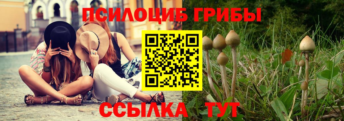 Галлюциногенные грибы MAGIC MUSHROOMS  Галлюциногенные грибы мицелий  Бузулук  Вход с VPN 